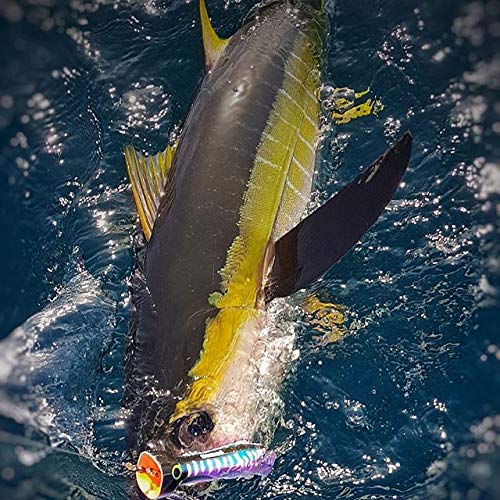 Nomad Design Chug Norris Popper - Offshore Saltwater Fishing Lure with Hydrodynamic Design, 3.75"" Floating, BKK 4X Trebles Hook, 3/4oz - Silver Green Mackerel - Image 3